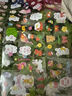 pet贴纸100张不重复装饰手账本无痕防水套装咕卡女孩粘贴水杯卡通可爱少女手杖儿童贴diy透明 【活动专享-升级款】40张 实拍图