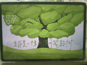 小米(MI) 小米平板7 11.2英寸平板电脑【国家补贴15%】3.2K超清护眼屏 骁龙 澎湃OS2 8+256G青杉绿 实拍图