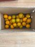 京鲜生 广西皇帝柑/贡柑 净重9斤 单果100g起 生鲜水果礼盒 实拍图