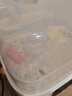 新贝奶瓶消毒烘干一体机 蒸汽消毒机消毒柜婴儿奶瓶消毒器带烘干8035 实拍图
