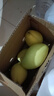 京喜加玉芒水果芒果新鲜上市 带箱2斤200g+ 实拍图