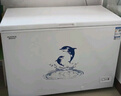 澳柯玛（AUCMA）307升单温冷柜家用商用减霜大冰柜 冷藏柜冷冻柜卧式冰箱雪糕柜一级能效 BC/BD-307HNE 国家补贴 实拍图