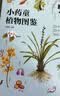 【2026读者嘉年华】给孩子的神奇植物课（套装共2册） 【3-6岁】狐狸家著 实拍图