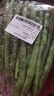 四季豆300g(架豆） 实拍图