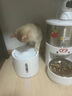 小佩宠物智能饮水机SOLO 2象牙白 猫咪饮水机狗狗喝水猫狗碗 无线水泵 实拍图