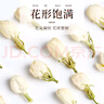 福东海 茉莉花120克 (当季新鲜头采)横县三伏 花草茶泡水喝养生茶饮 实拍图