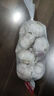 山东金乡蒜大蒜出口标准精选大蒜头蔬菜调料单果5cm 网兜装袋5头 150g 5-5.5cm特大 实拍图
