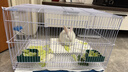 憨憨宠兔笼子大号养殖笼加粗加密兔子窝带脚垫喝水器宠物家用兔子用品 500兔笼 含水壶脚垫托盘 实拍图
