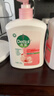 滴露（Dettol）洗手液滋润500g*6 抑菌洗手液家庭装大桶儿童消毒无酒精温和护手 实拍图