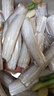 鲜到鲜得 舟山带鱼纯中段1400g 带鱼实心段(无肚) 深海鱼 生鲜鱼类 海鲜 实拍图