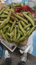 新鲜豌豆四川带壳青豆角水果甜豆荚农家蔬菜 新鲜青豌豆荚净重2斤 实拍图