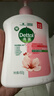 滴露（Dettol）洗手液滋润500g*6 抑菌洗手液家庭装大桶儿童消毒无酒精温和护手 实拍图