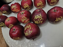 金百粟甘肃天水花牛苹果粉面红蛇果 老人婴儿当季新鲜苹果水果生鲜 12枚精品印字圣诞果【单果75-80mm】顺丰到家 实拍图