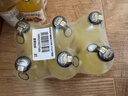 宾得宝（Bundaberg）含气柠檬汁饮料375ml*6玻璃瓶装 澳州解腻网红旅行发酵果汁气泡水 实拍图