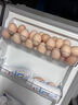京鲜生鲜鸡蛋10枚/盒 健康轻食 营养健康1斤/盒 源头直发  实拍图