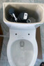 恒洁（HEGII） 马桶家用节水防臭虹吸式大冲力全管道施釉坐便器包安装 【小户型优选】一级水效516 400mm 实拍图