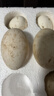 百世富泽（BAISHIFUZE）【百世富泽】黄河滩大鹅蛋新鲜正宗土鹅蛋农家自养孕妇超大鹅蛋 12枚115-130克 实拍图