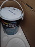 多乐士（Dulux） 森呼吸竹炭全效无添加净味儿童漆 内墙乳胶漆墙面油漆涂料A8106 15L套装 可调色（调色后不退换） 实拍图