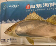 仙泉湖三去白蕉海鲈鱼1斤/条净膛冷冻刺少肉厚珠海特产500g生鲜食材 实拍图