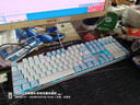 达尔优（dareu）EK815机械合金键盘 有线键盘 游戏键盘 108键单光 男生女生 电脑键盘  白色蓝色 青轴 实拍图