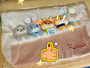 迪士尼（Disney）疯狂动物城包包女包生日礼物女生玩偶单肩包托特包女士实用大容量 实拍图