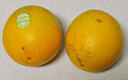 褚橙 云冠橙云南冰糖橙 优级果 净重10斤 单果约130g 水果源头直发 实拍图