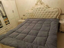 南极人（Nanjiren）羊羔绒床垫软褥子加厚加绒保暖冬季单人学生宿舍租房榻榻米垫被 XY-灰色【加绒加厚 拒绝寒冷】 90*200cm 实拍图