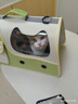 宠德多猫背包猫包外出猫太空舱宠物猫咪狗狗外出便携包双肩包猫书包12孔 折叠款清新绿（18斤内猫） 实拍图