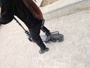 永久电动滑板车便携两轮代步车电瓶车迷你小型代驾折叠电动车锂电池 48V黑/130-160KM/旗舰版强动力 实拍图
