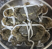 【活蟹】宿有千香霸王蟹鲜活大闸蟹公4.5-4.7两 母3.5-3.7两 4对8只螃蟹源头直发 实拍图