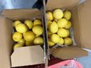 京鲜生 安岳黄柠檬16粒 单果95g-120g 生鲜水果 实拍图