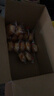泡吧 鸡蛋糕整箱2斤办公室早餐小点心软面包休闲零食糕点礼包箱1000g 原味 原味1000g 实拍图