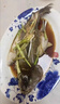 有机淡水鲈鱼【顺丰-多地次日达】孕妇宝宝健康食辅鲜活三去水产 400g*3条【大鲈鱼】 有机认证 现杀发出 实拍图