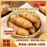 京地达云南昭通小草坝鲜炖天麻礼盒 净重260g*6盒 即食乌天麻源头直发 实拍图