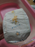 泰迪熊（Teddy Bear）亲肤纸尿裤/拉拉裤超薄透气新生婴儿宝宝尿不湿 敏感肌适用 纸尿裤L70片(推荐16-24斤) 实拍图