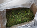 喜帅烘干紫花苜蓿草 幼兔兔粮牧草干草龙猫荷兰猪饲料毛重1kg*2箱 实拍图