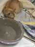 【京东物流】猫抓板磨爪猫窝一体耐磨不掉屑超大号猫玩具猫咪用品 圆形小号+猫薄荷 实拍图