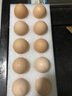 京鲜生鲜鸡蛋10枚/盒 健康轻食 营养健康1斤/盒 源头直发  实拍图
