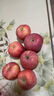 京鲜生 烟台红富士苹果 8粒装 单果160-190g 生鲜水果 实拍图