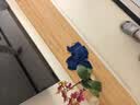骆驼触屏手套春秋跑步骑行保暖户外运动手套冬季1T32264472墨黑 M码 实拍图