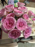 【玫瑰花】花店同款甘肃玫瑰西北鲜花无土栽培易开花期长七夕礼物 洛神单头玫瑰 20枝 实拍图