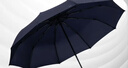 天堂 全自动雨伞三折 10骨加固一键开收易甩干简约晴雨伞 藏青 实拍图