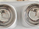 petofstory宠物碗不锈钢狗碗双碗 猫碗可拆卸护颈猫粮碗狗盆猫盆 实拍图