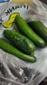京喜加新鲜无刺水果小黄瓜小青瓜脆甜荷兰脆嫩生吃黄瓜蔬菜 2根 200g 尝鲜装 实拍图