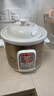 天际（TONZE）电炖锅 煮粥锅 陶瓷锅煲汤炖锅电炖盅煲汤锅快速炖汤锅熬粥养生锅煮粥神器 DGD20-20CWD 实拍图