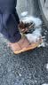 ABC KIDS儿童雪地靴经典款加绒男童休闲鞋防滑女童潮棉靴 棕色 29  实拍图