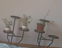 蜗家花架客厅落地式可移动阳台植物置物架铁艺多层室内多肉花盆托架黑 实拍图