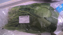 大菠菜300g 实拍图