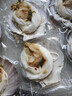 獐子岛 冷冻蒜蓉粉丝扇贝400g 12只 虾夷扇贝 烧烤食材 海鲜 生鲜 实拍图