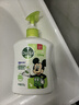 滴露（Dettol）洗手液茉莉绿茶清香500g*2 儿童洗手液家庭抑菌消毒 迪士尼 实拍图
